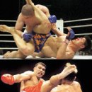 링 종합격투기 이미지