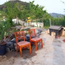 나영농장 이미지