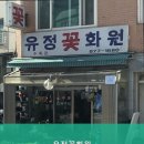 유정화원 이미지