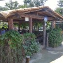 순흥전통묵집 이미지