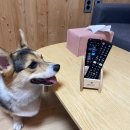 한담하우스 이미지