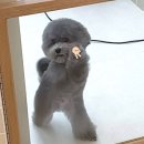 (유)지음 | [뮤지컬]251204 트레이스유 트유 후기