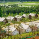 고창농원 이미지