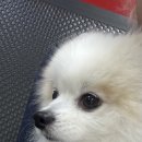 유니독스 이미지