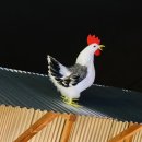 대동집 오창2산단점