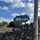 세화 정원 | [제주 펜션/내돈내산]_ 가성비 좋은 제주 동쪽 숙소, 세화스테이 (정원)