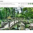 그레이스디퓨져 이미지