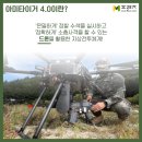 아미프랜즈 네이버블로그