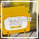 강릉 소품샵 투어 - 안뽀뇨 소품샵