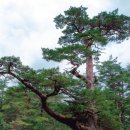 울진문화원 이미지