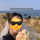 초원꽃집 | 3월 말 제주 웨딩 스냅 후기 | 결혼준비👰‍♀️