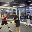 TSQ BOXING 이미지