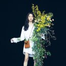 Y매거진 카카오 검색결과