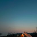 포레스트오션 이미지