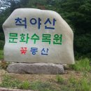 개인(강정숙) 이미지