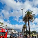 달카페&레스토랑 | 남아공 케이프타운 부촌 캠스베이 Camps Bay 다녀온 후기(+ 카페, 근처 레스토랑 후기)