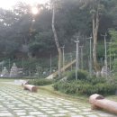 연일공원 이미지