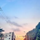 불티나는맛집 이미지