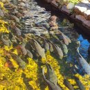 부천둘레길3코스 | 부천둘레길 3코스(물길따라 걷는길), 찬란한 가을 제철풍경