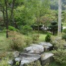 귀목이(고선주유소) Daum카페