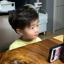현이목장 Daum카페