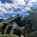 애즈유라이크(As you like) 이미지