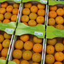 대구축산농협 축산물프라자 동대구IC점 이미지