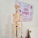 인필라테스원효점