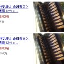 제이큐어 이미지