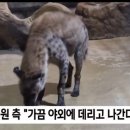 맹수들마저 지하 실내에 가둔 대구의 한 동물원 이미지