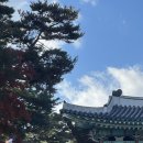 세현 노래방 | 25.11 단풍구경, 언니들이랑 안토 일박, 사랑니 발치, 해비치 제주 🍂🍂