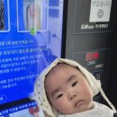 선장신성2리경로당 | 아산 귀촌 일기: 귀초니스트들의 바쁜 하루