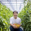 팜디자인법인