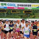 태백 쿨 전국 마라톤 대회 이미지