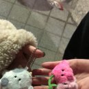 뽑아볼깡 이미지