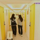 스테이 청춘 이미지