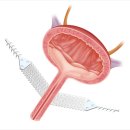 유로진여성의원 이미지