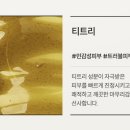 모모프 | 모모프 셀프 왁싱 키트 솔직 후기｜초보자도 가능할까?