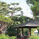 서일 농장 | 안성 가볼만한곳 일죽 서일농원 장독대 솔리 청국장