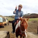 미르의 언덕 이미지