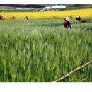 곰소농장 이미지