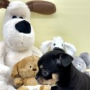 멍멍앤쿡 이미지