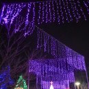 연기면_세종중앙공원(남쪽)주차장 | 2024 세종시 빛축제 가볼만한곳(이응다리:금강보행교 포함)