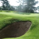 샤인데일 골프&리조트 이미지