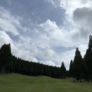 헤매다가 길을 찾은거 같습니다. 이미지