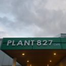 827 | 제주공항 근처 힐링 스팟, 족욕과 산책이 있는 대형 카페 ‘자연in PLANT827’ 후기