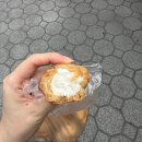 하이몬드과자점 | [진주 하이몬드과자점]베이비슈 5알 천원🧁 대혜자빵집 내돈내산후기