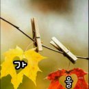 사랑하