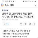 홍정욱 딸, LSD 밀반입 적발 '불구속'.."SK·현대가 3세도 구속됐는데" 이미지