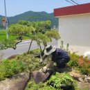 철마우체국 이미지